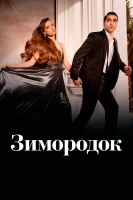 Постер турецкого сериала «Зимородок»